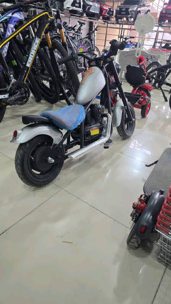 Электронный мотоцикл - изображение 6