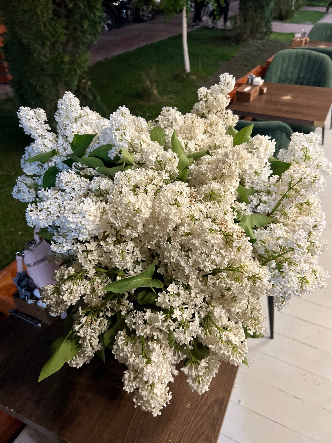 Сирень огромный - изображение 2