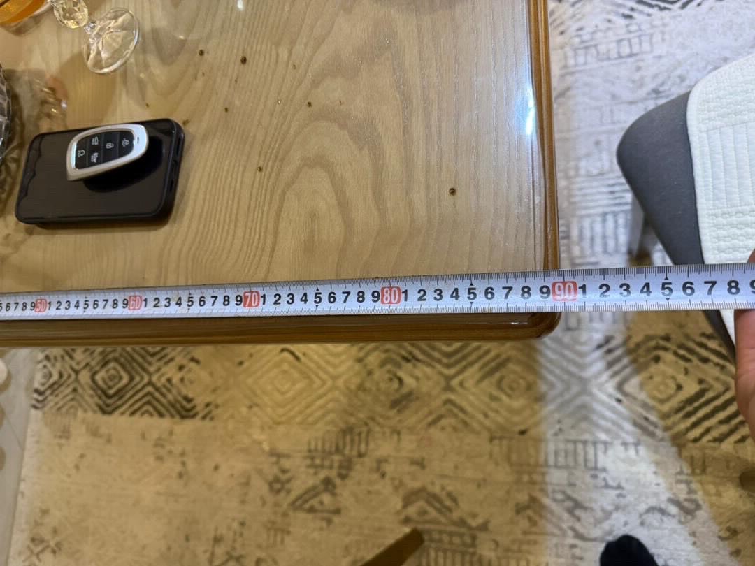 Кухонный 1 стол 6 стульями КАРАГАЧ - изображение 9