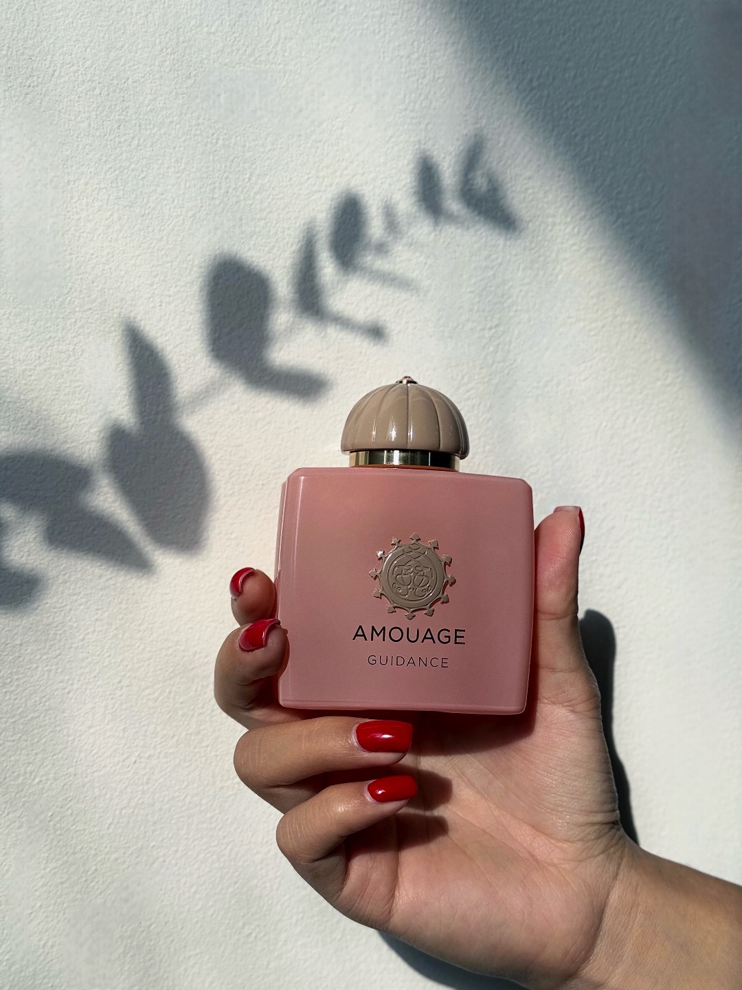 Amouage Guidance - изображение 2