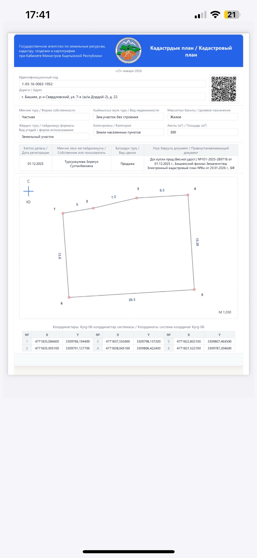 Норковая шуба - изображение 2