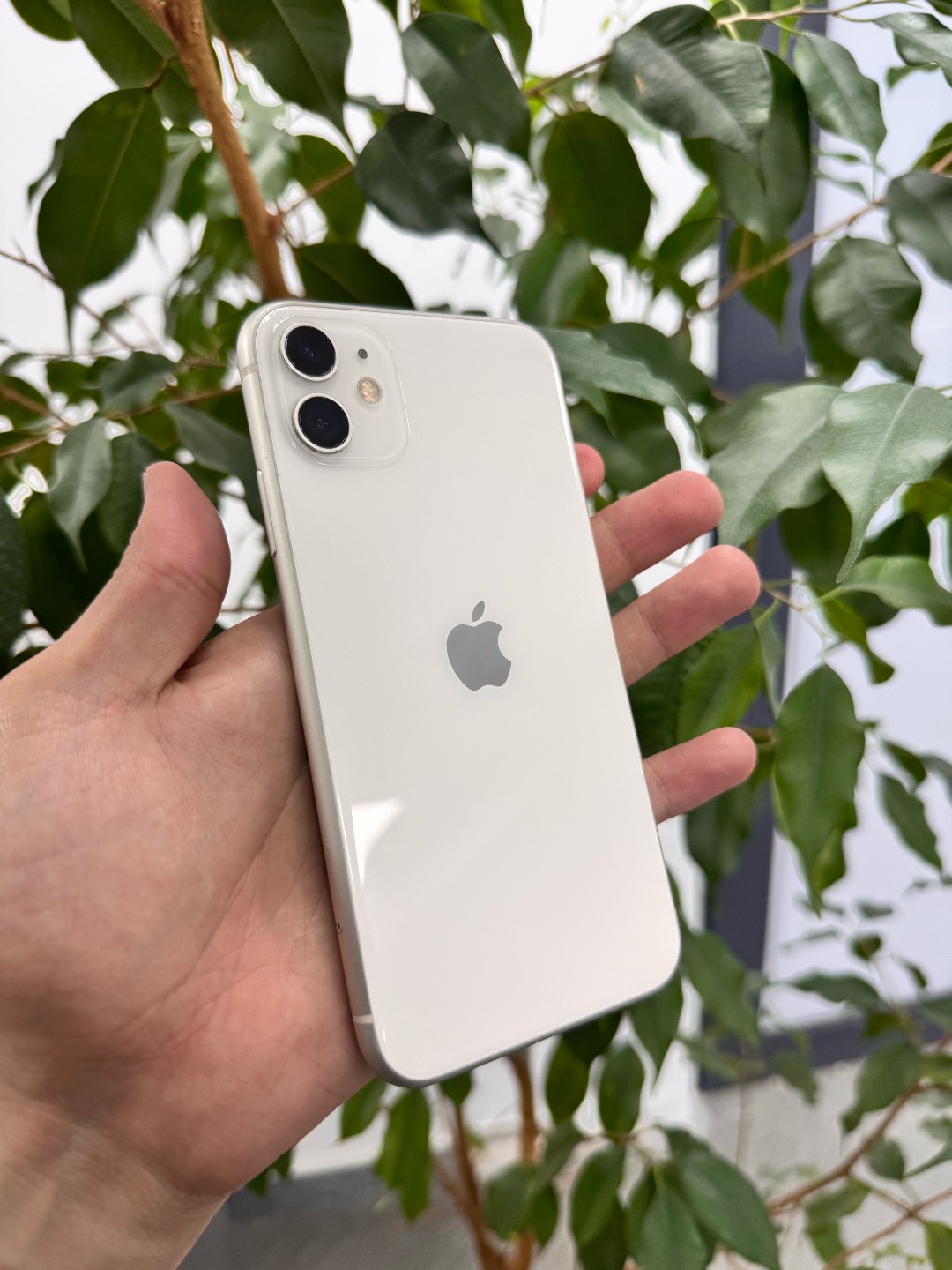 IPhone 11 128Gb White - изображение 2