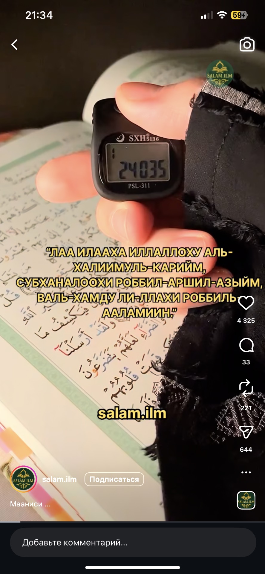 Норковая шуба - изображение 4