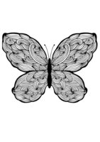 Раскраска Бабочка с плетениями