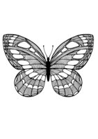 Раскраска Бабочка с рисунками капель