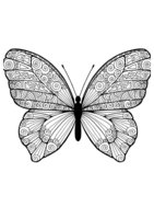Раскраска Бабочка с рисунками треугольников