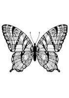 Раскраска Бабочка с зентанглами