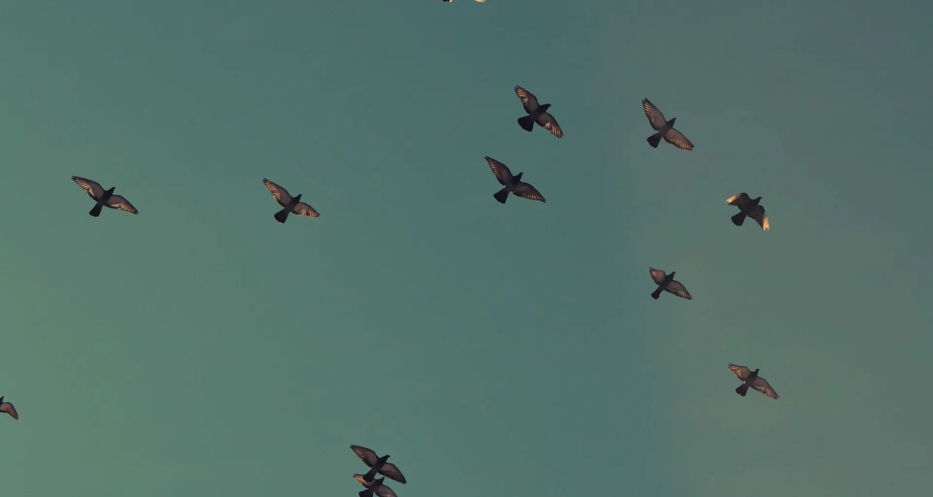 Top 5 Onmisbare Auto-Accessoires voor 2026