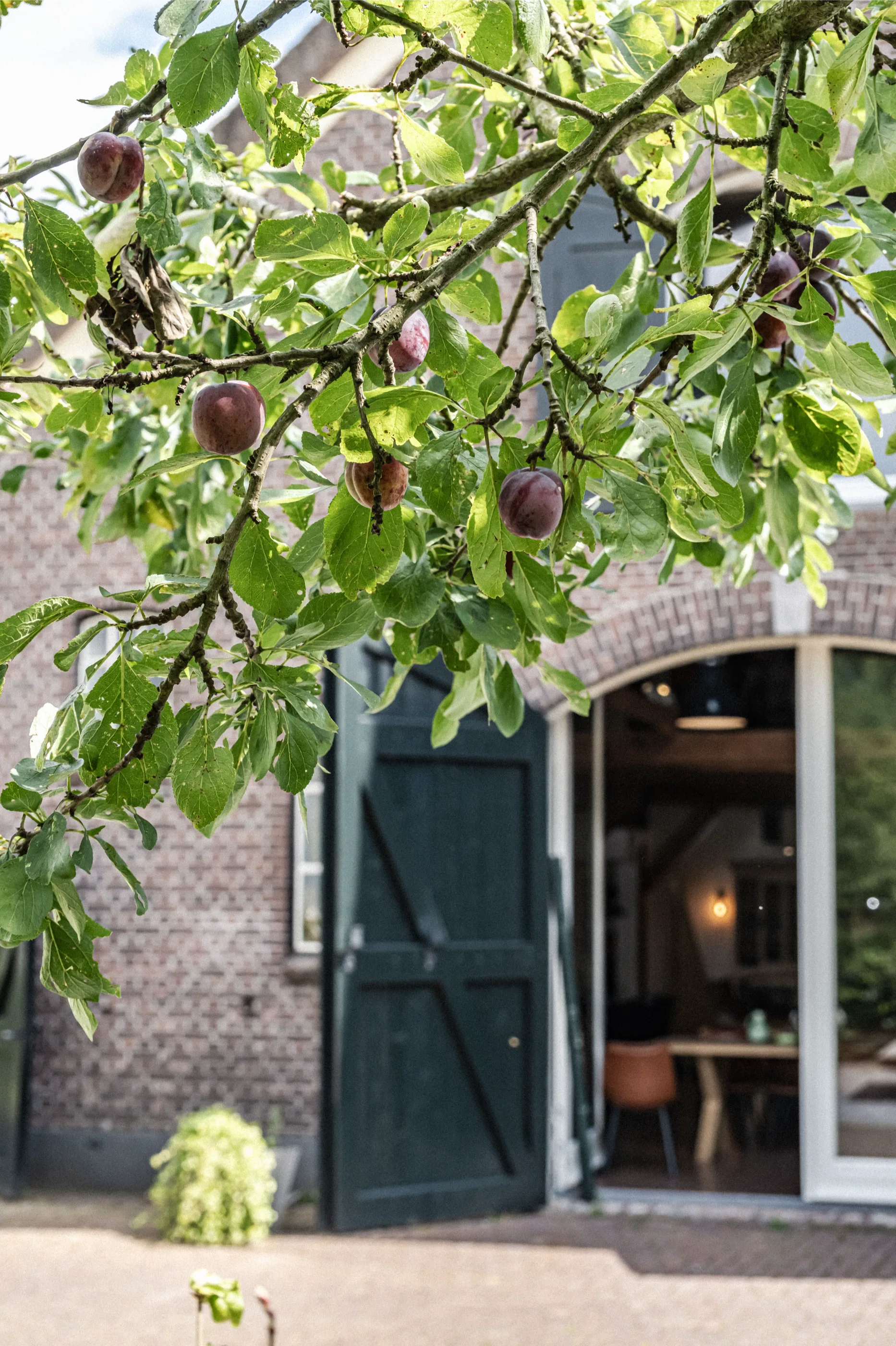 Landgoed de Beug De Deel Staldeuren Buiten