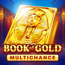Слот Book of Gold Multichance