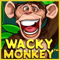 Слот Wacky Monkey