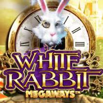 Слот White Rabbit