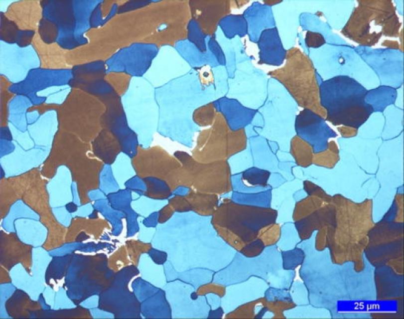 Hellfeld, 500-fache Vergrößerung Hellfeld, 500-fache Vergrößerung