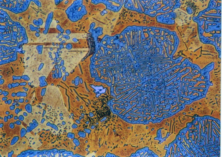 Hellfeld, 200-fache Vergrößerung Hellfeld, 200-fache Vergrößerung