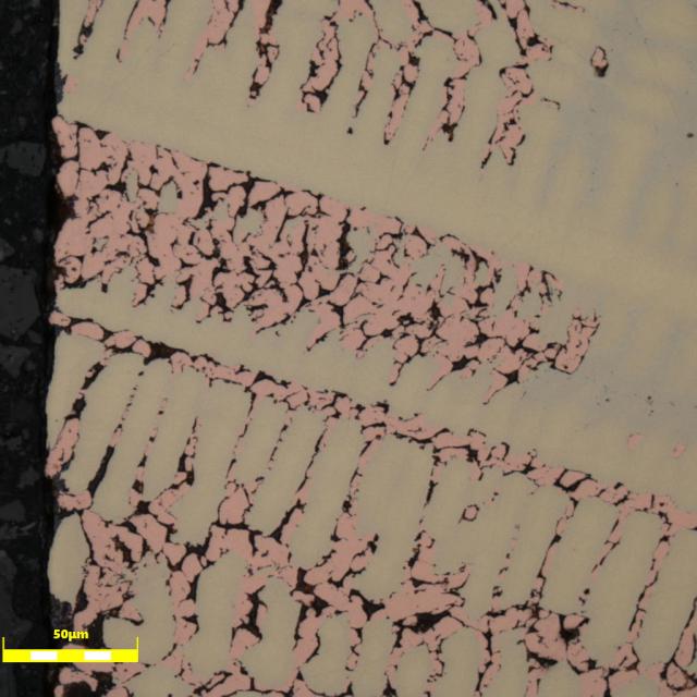 Hellfeld, 500-fache Vergrößerung Hellfeld, 500-fache Vergrößerung