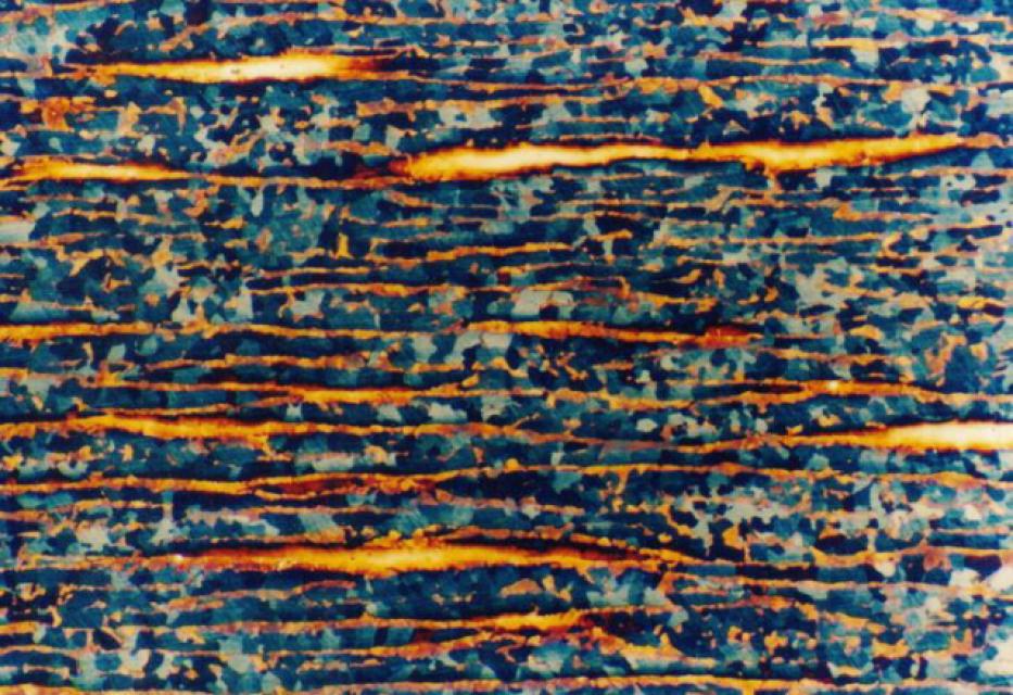 Hellfeld, 50-fache Vergrößerung Hellfeld, 50-fache Vergrößerung