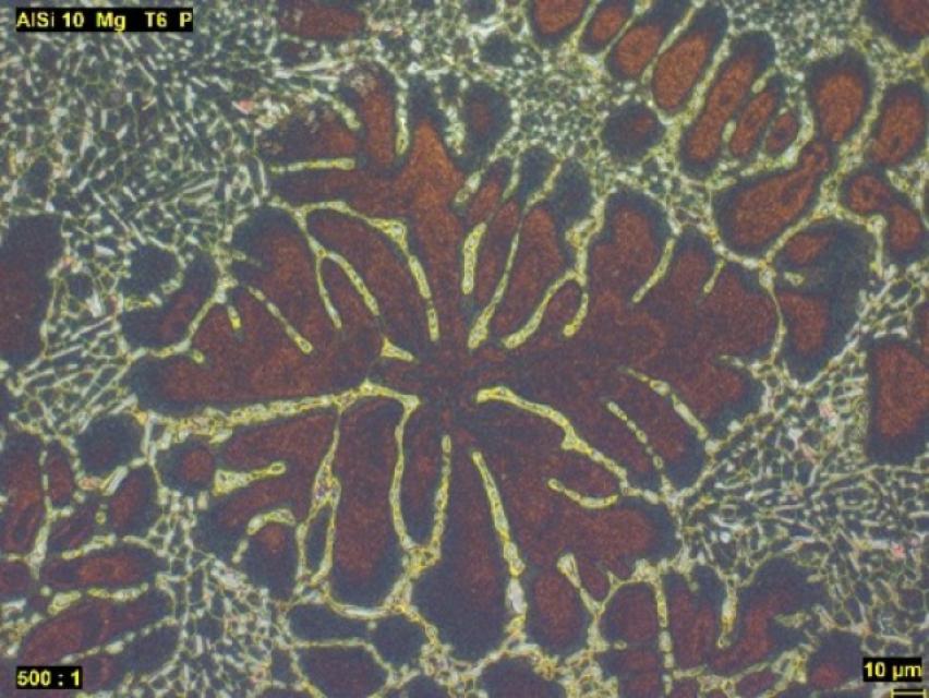 Hellfeld, 500-fache Vergrößerung Hellfeld, 500-fache Vergrößerung