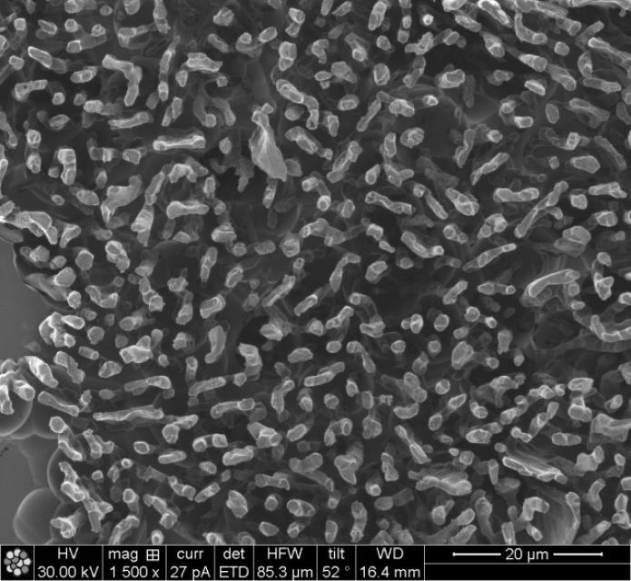 Ionen-Bild. Sr-veredelte Al-7%Si Legierung Ionen-Bild. Sr-veredelte Al-7%Si Legierung