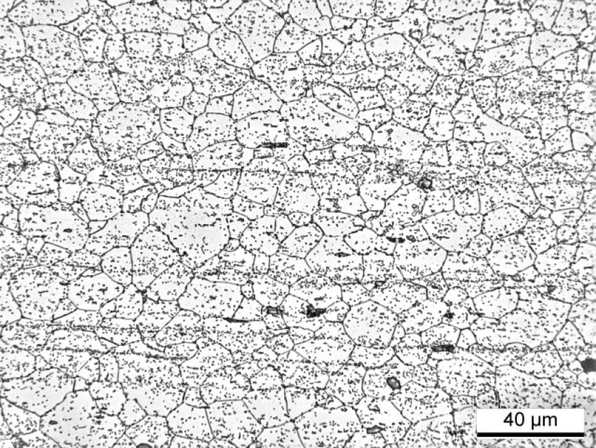 sehr hohe IK-Anfälligkeit sehr hohe IK-Anfälligkeit