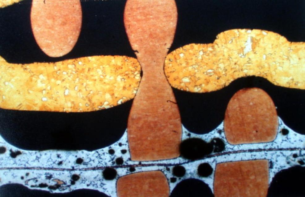 Hellfeld, 20-fache Vergrößerung Hellfeld, 20-fache Vergrößerung