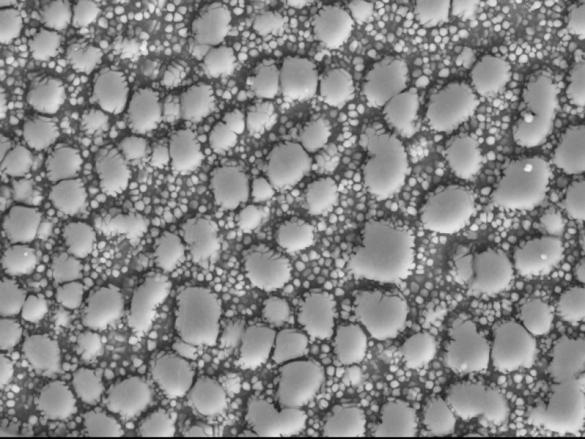 Inconel 738LC Inconel 738LC