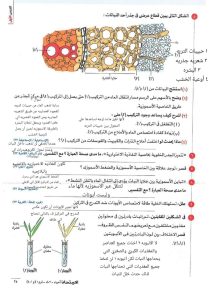 IMG-20240925-WA0007