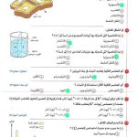 IMG-20240925-WA0005