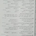 IMG-20240924-WA0006