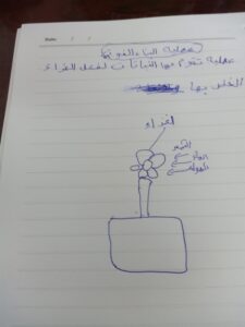 17555910095504102054730864206969