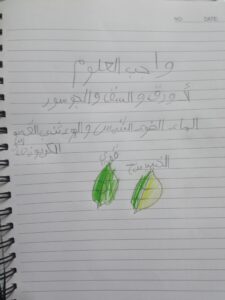 17563745827464416047350887784195