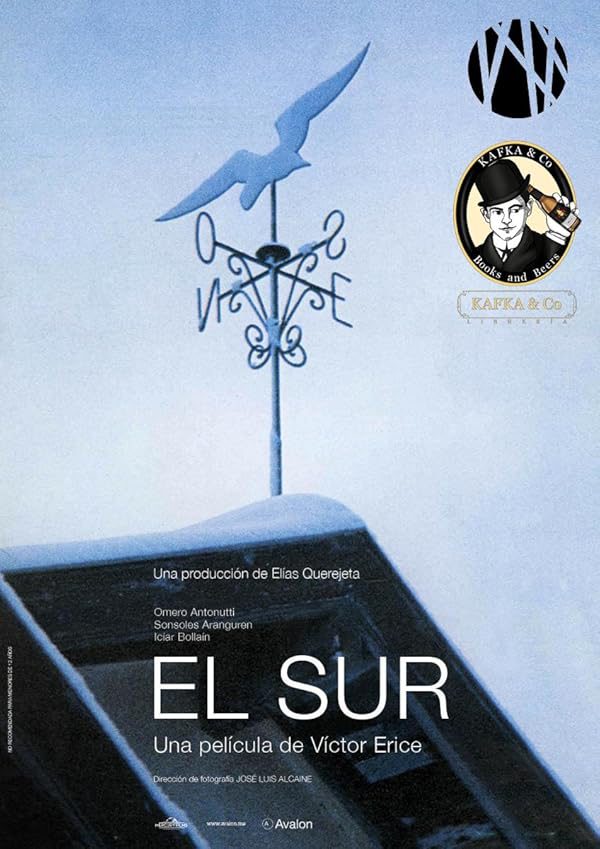 El Sur (film)