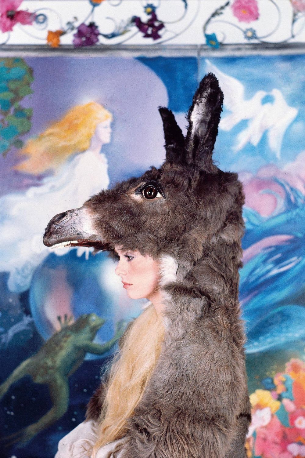 Peau d'âne