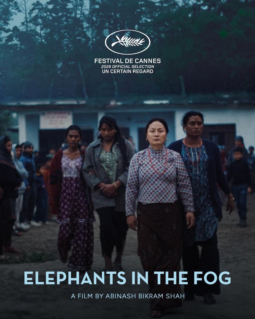 Elephants in the Fog