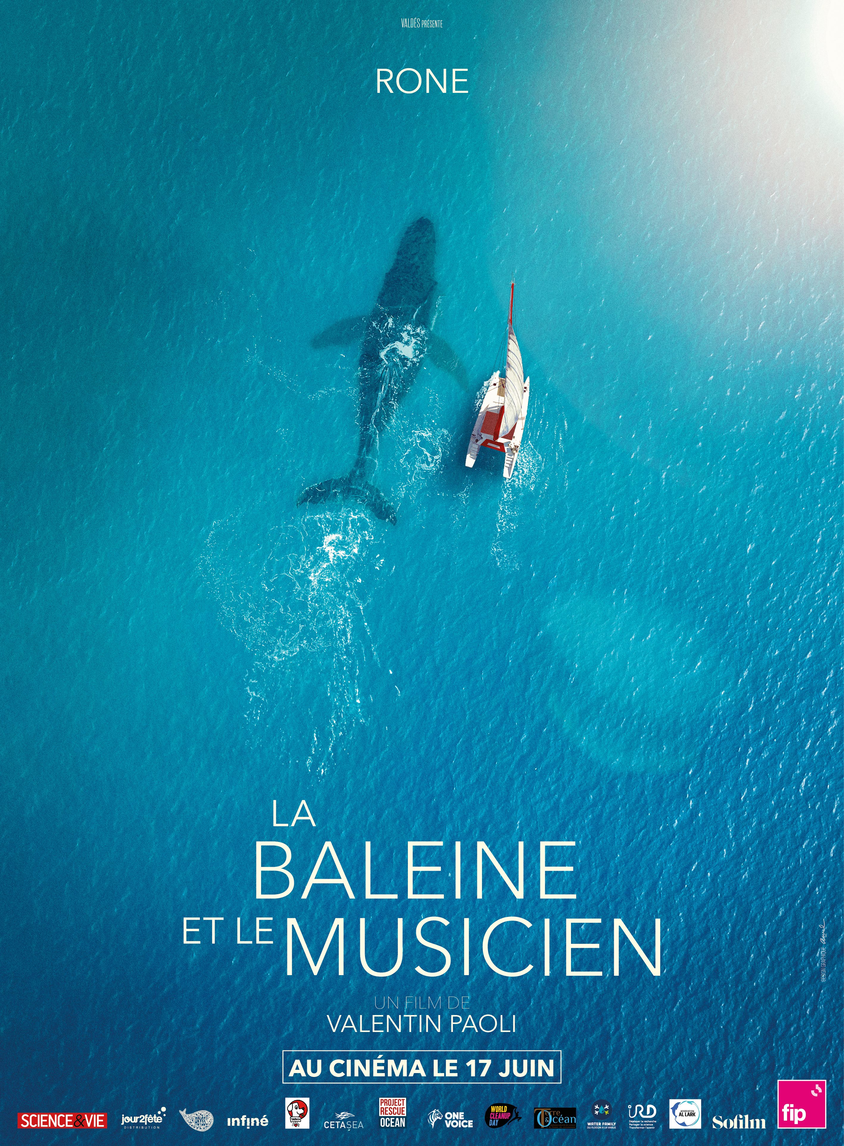 La baleine et le musicien
