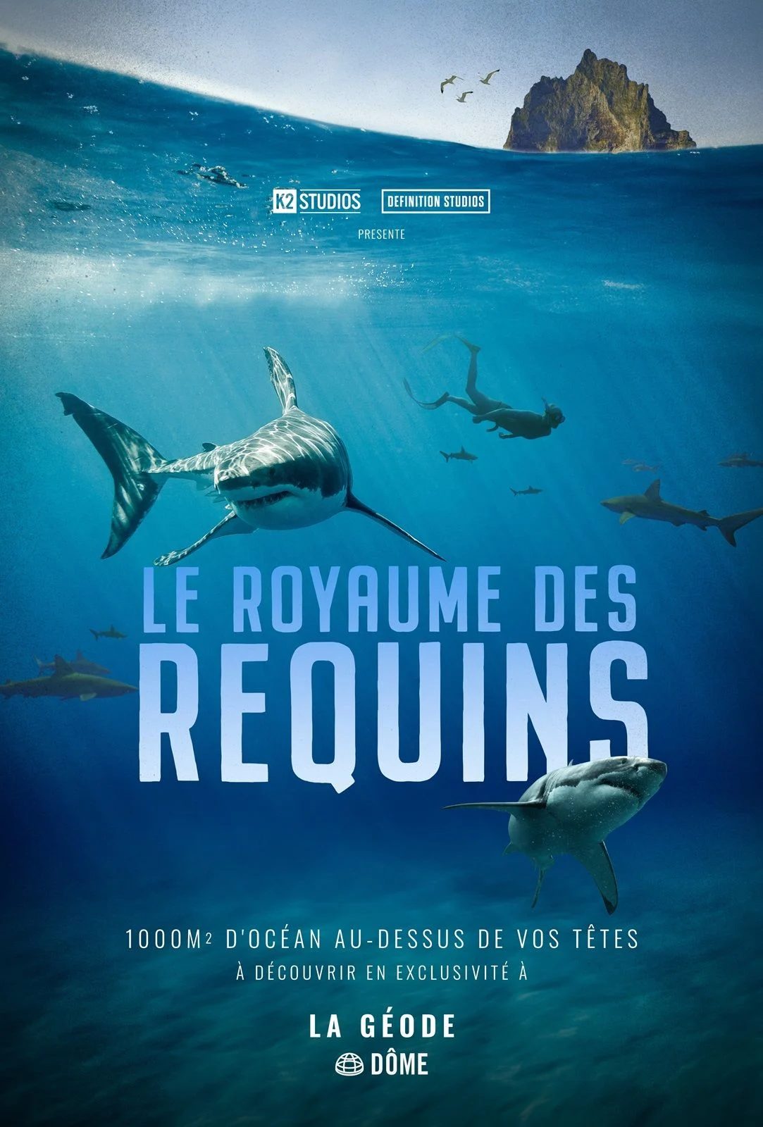 Le Royaume des requins