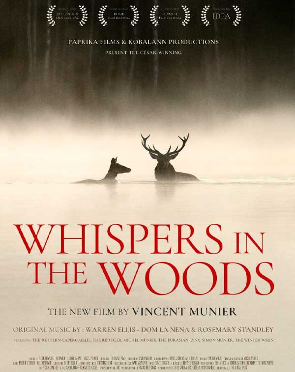 Whispers in the Woods
