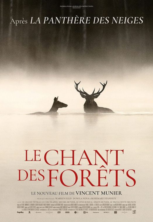 Le Chant des forêts