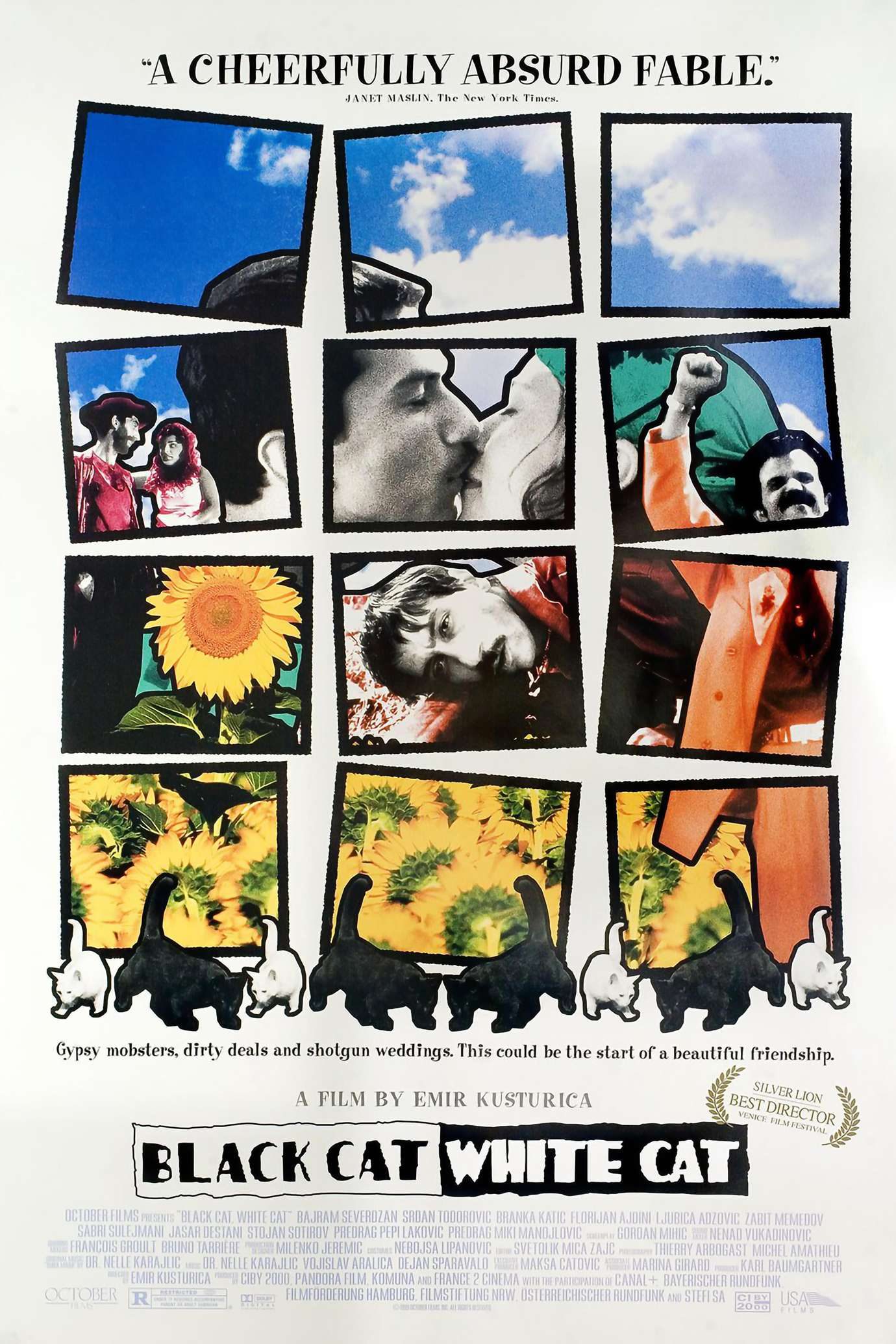 Chat noir, chat blanc