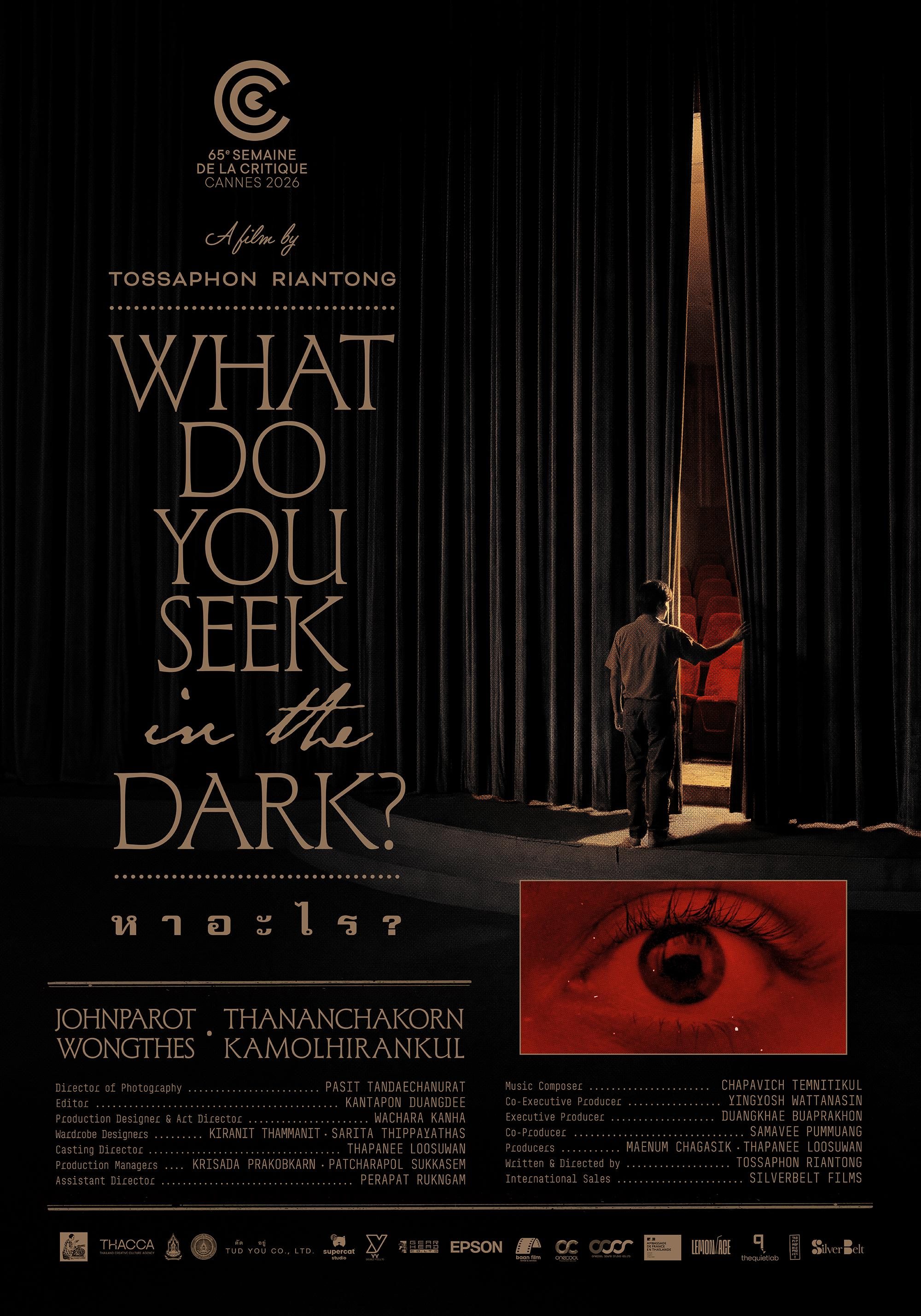 What Do You Seek in The Dark?