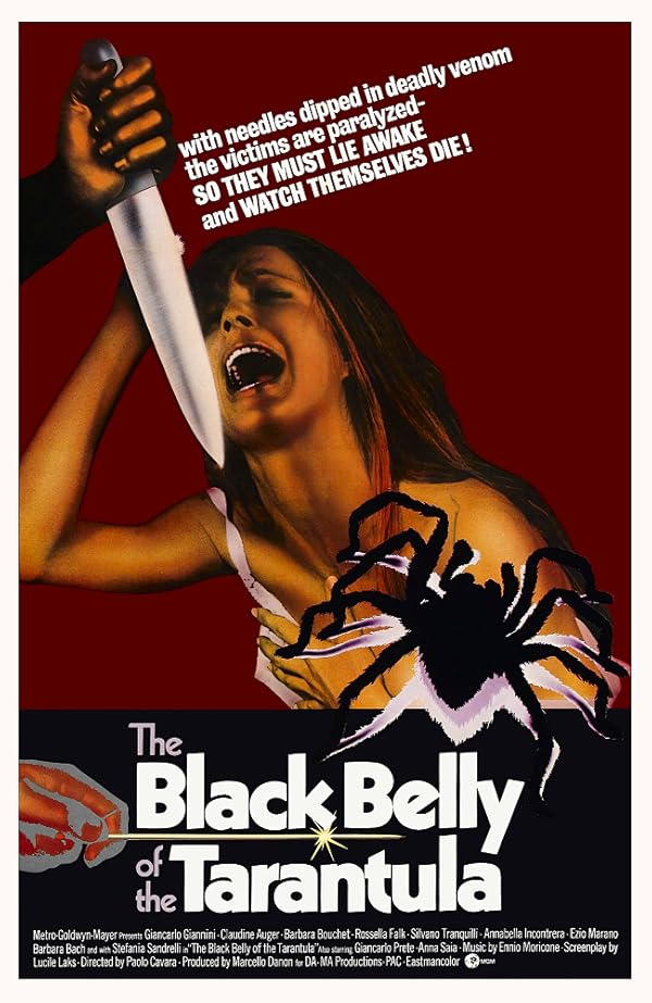 La Tarentule au ventre noir