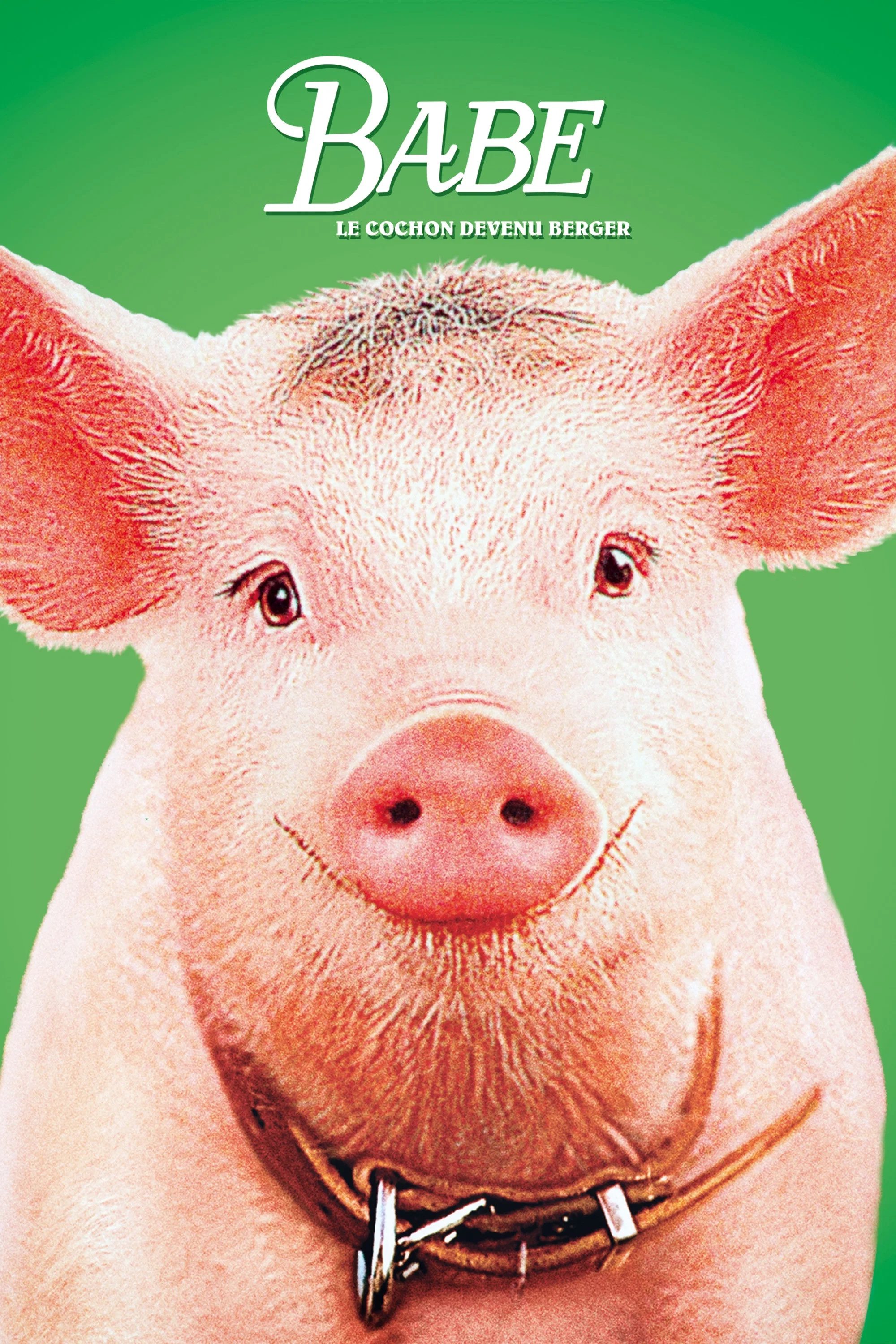 Babe, le cochon devenu berger