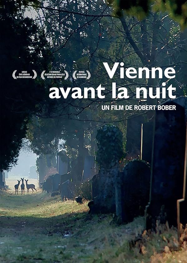 Vienne avant la nuit