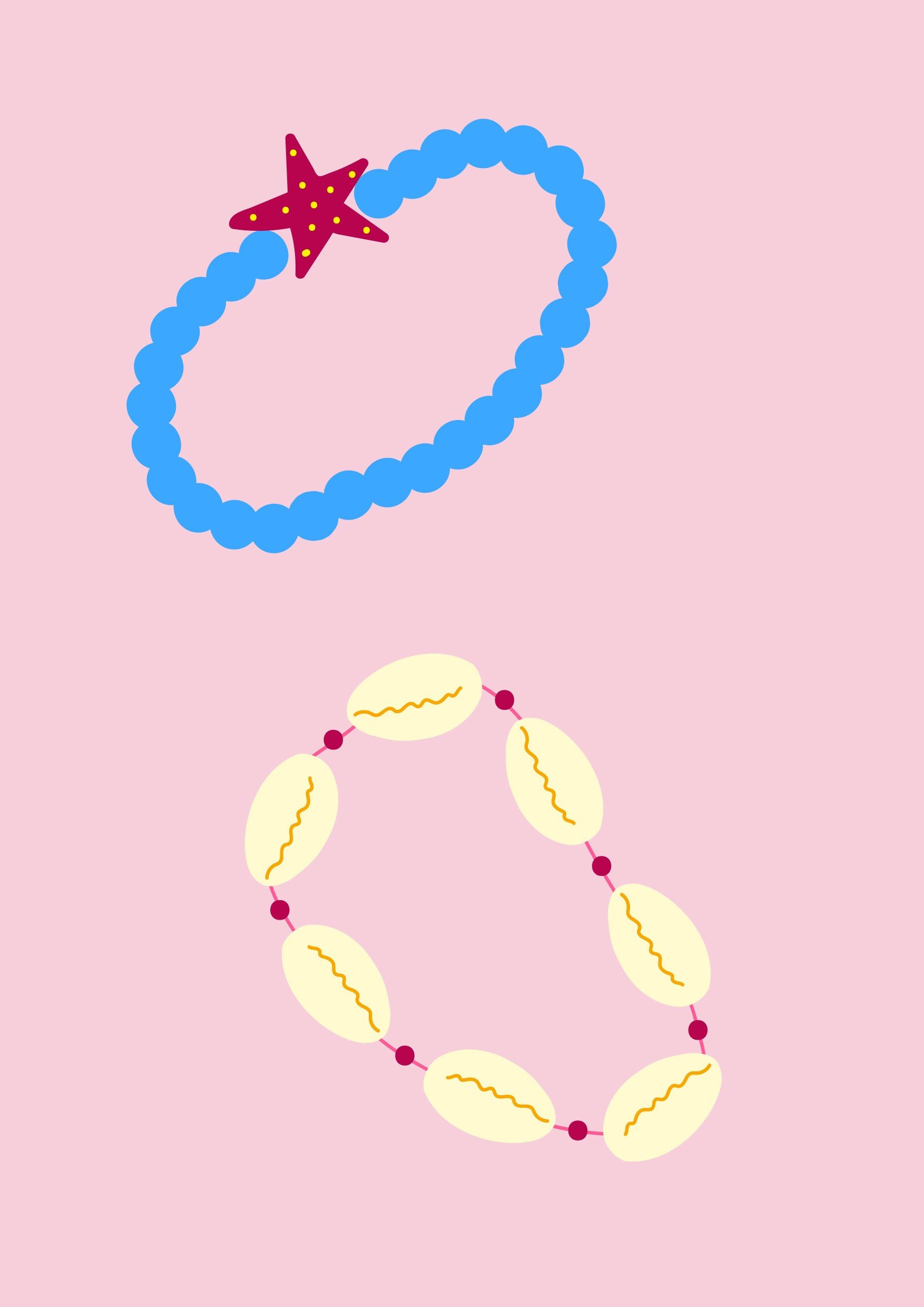 Atelier Bracelet coquillage