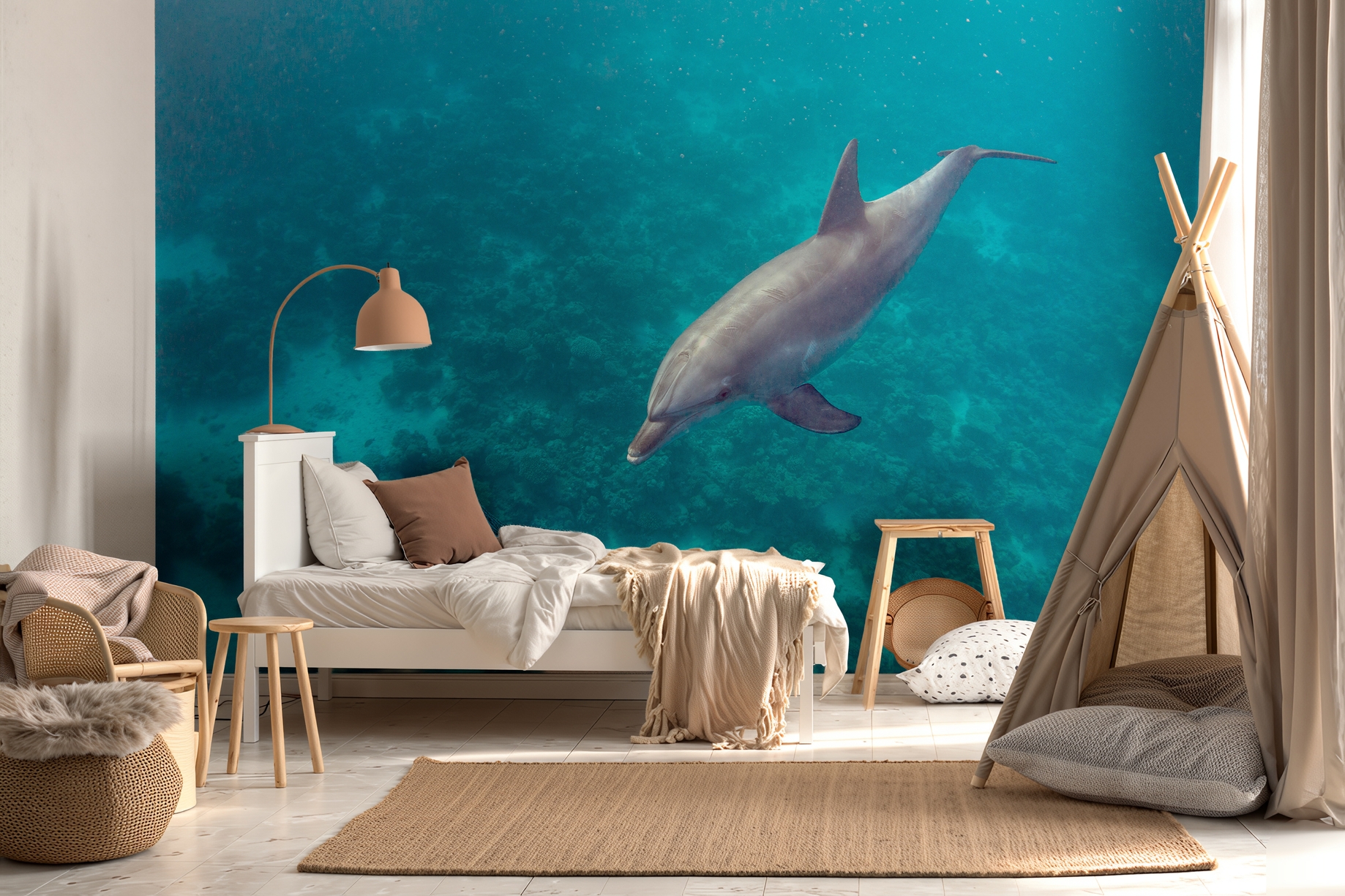 Immagine di 