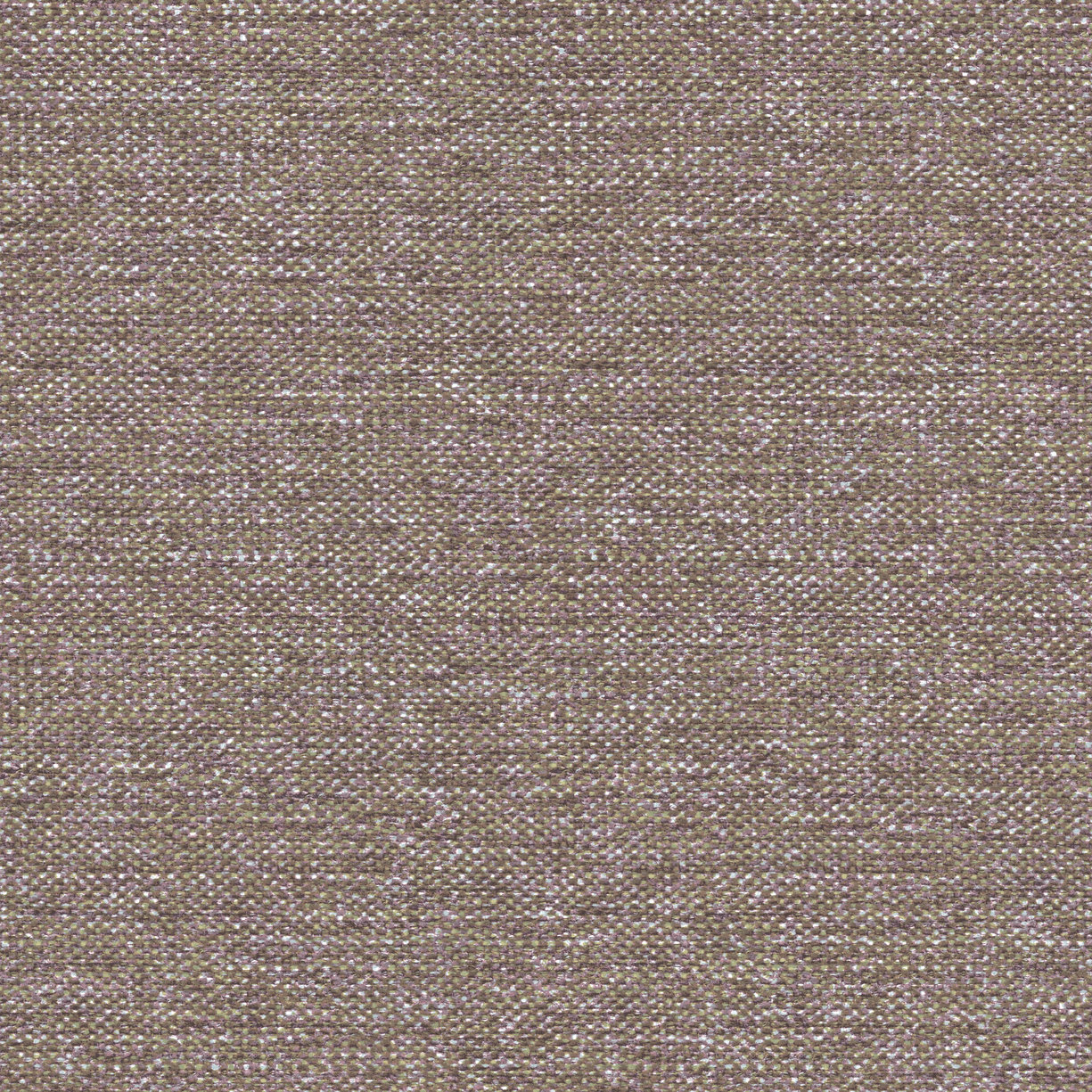 Siena - 5864 - Parato - Papiers peints - Violet