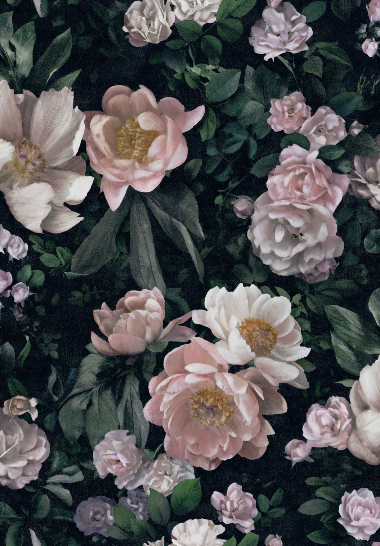 New Dawn Rose - 7234 - Boråstapeter - Wallpaper - Multi