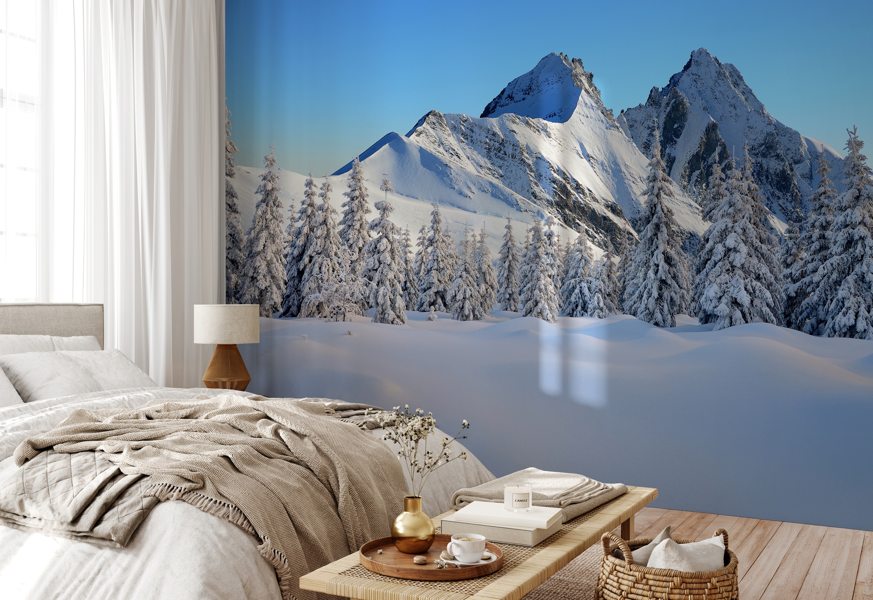 Immagine di 