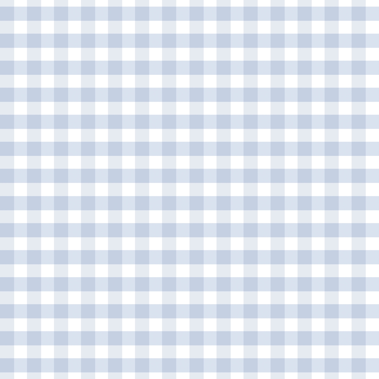 Checkered petite Light Blue - 1031501-04-OUTLET