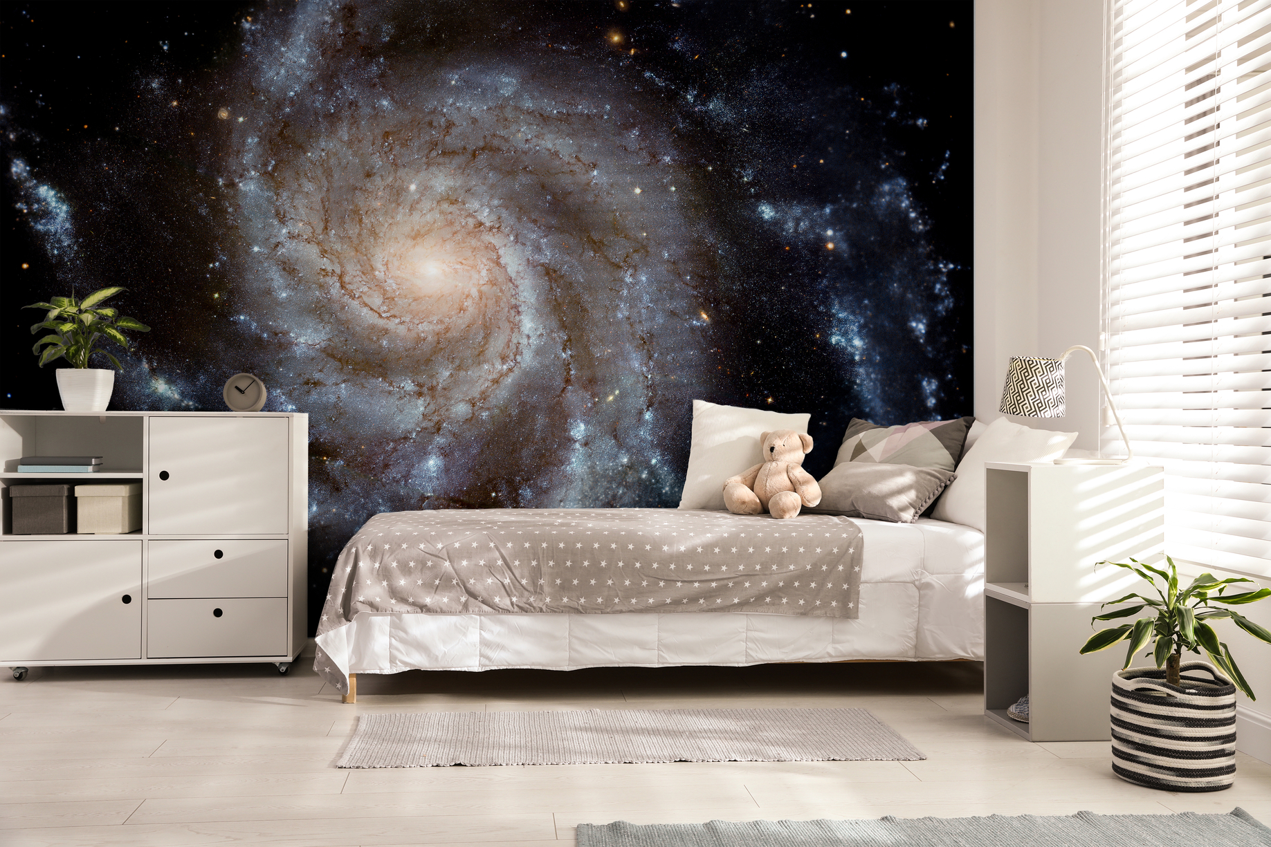 Bilde av 