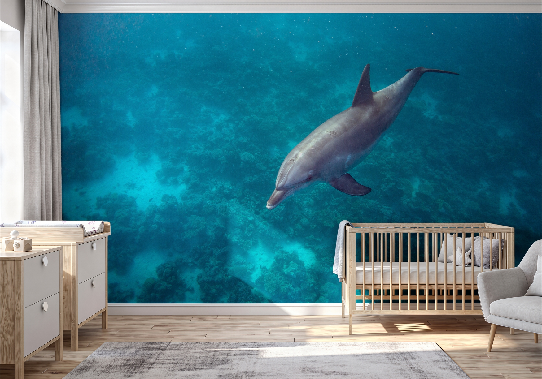 Immagine di 